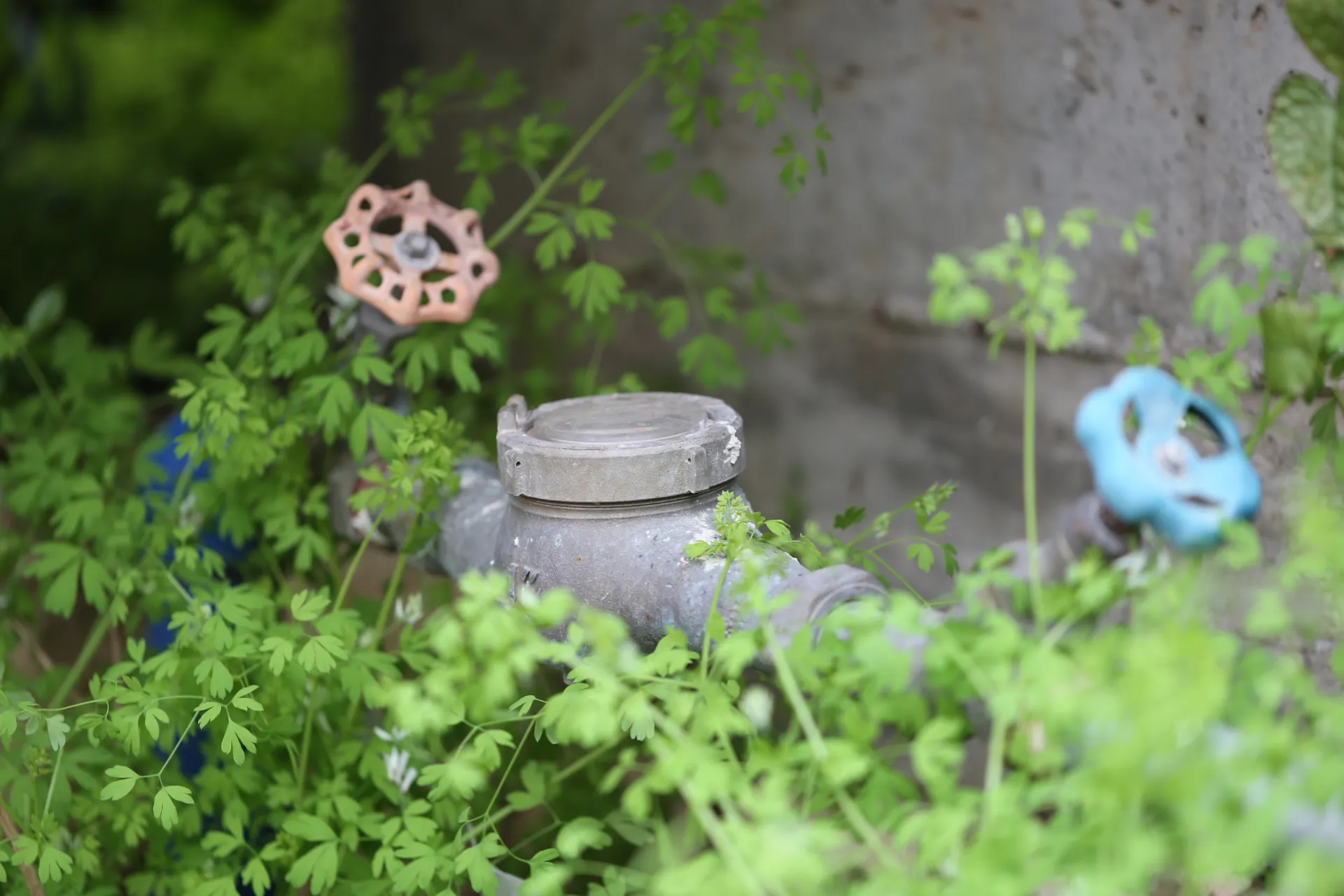 Gartenwasserzähler: Tipps zur Installation und Kostenersparnis