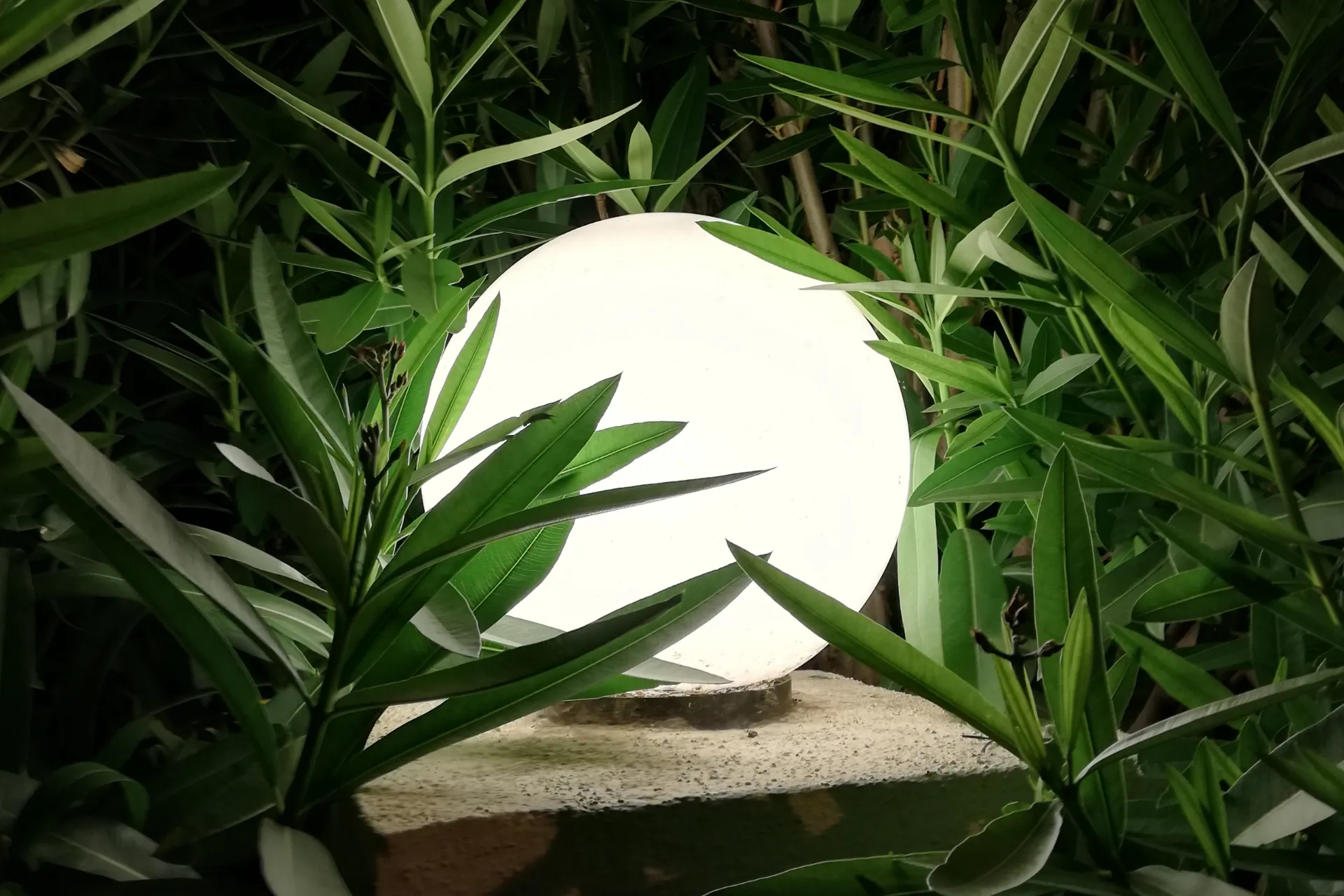 Vielfältige Gartenbeleuchtung mit Solarkugeln: Top-Auswahl und Qualität!
