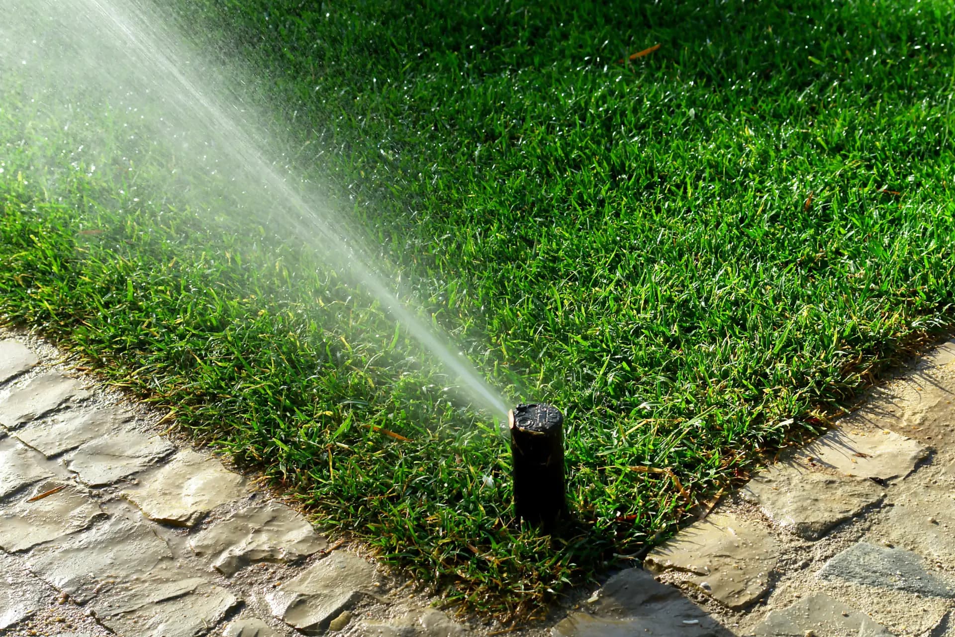 Effiziente Garten Bewässerungssysteme: Tipps und Tricks