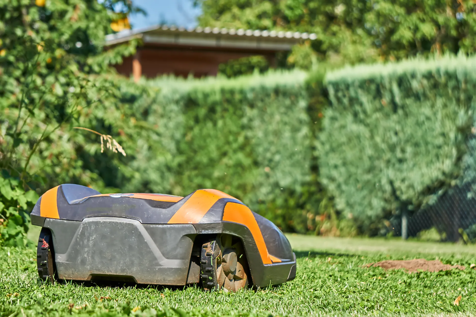 Die besten Rasenmäher Roboter ohne Begrenzungskabel: Test und Vergleich