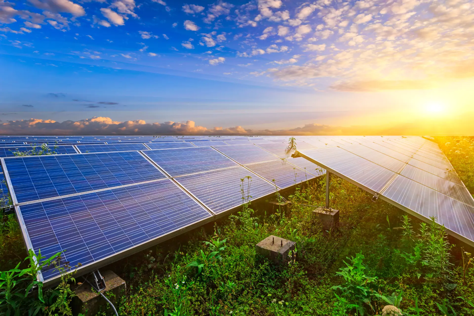 Effiziente Nutzung von Agrarflächen: Alles über Agri Photovoltaik