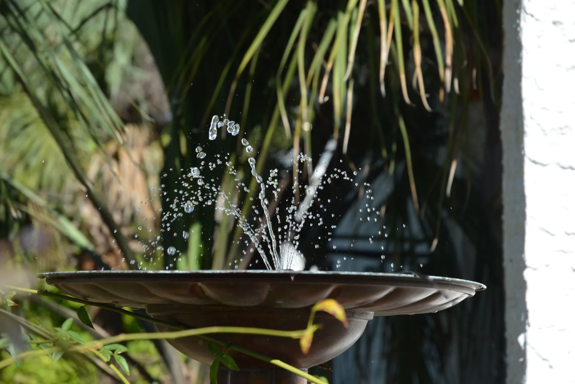 Solarbrunnen im Garten: Nachhaltige Wasserfeatures für Ihren Außenbereich