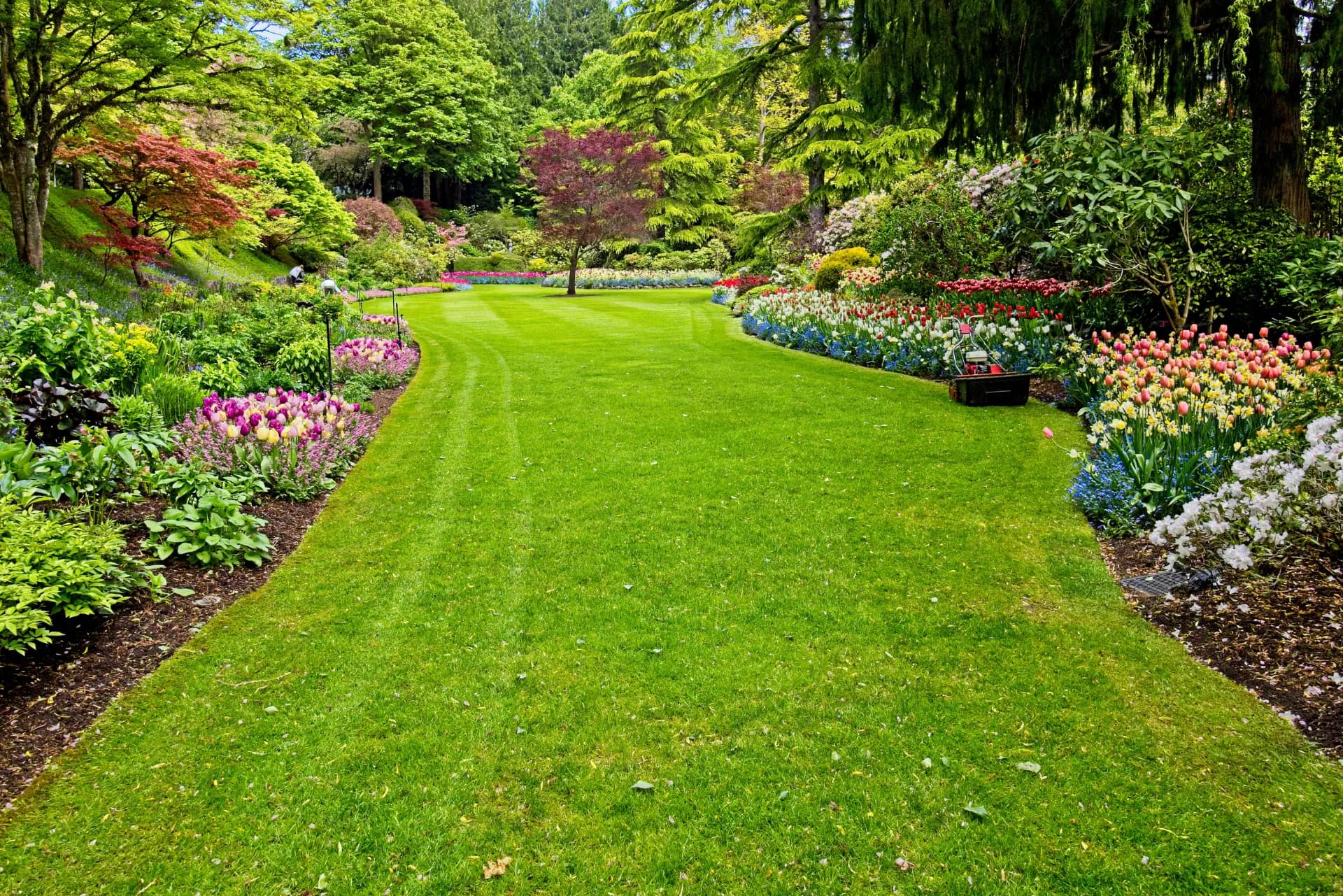 Schritt-für-Schritt-Anleitung für das Garten anlegen